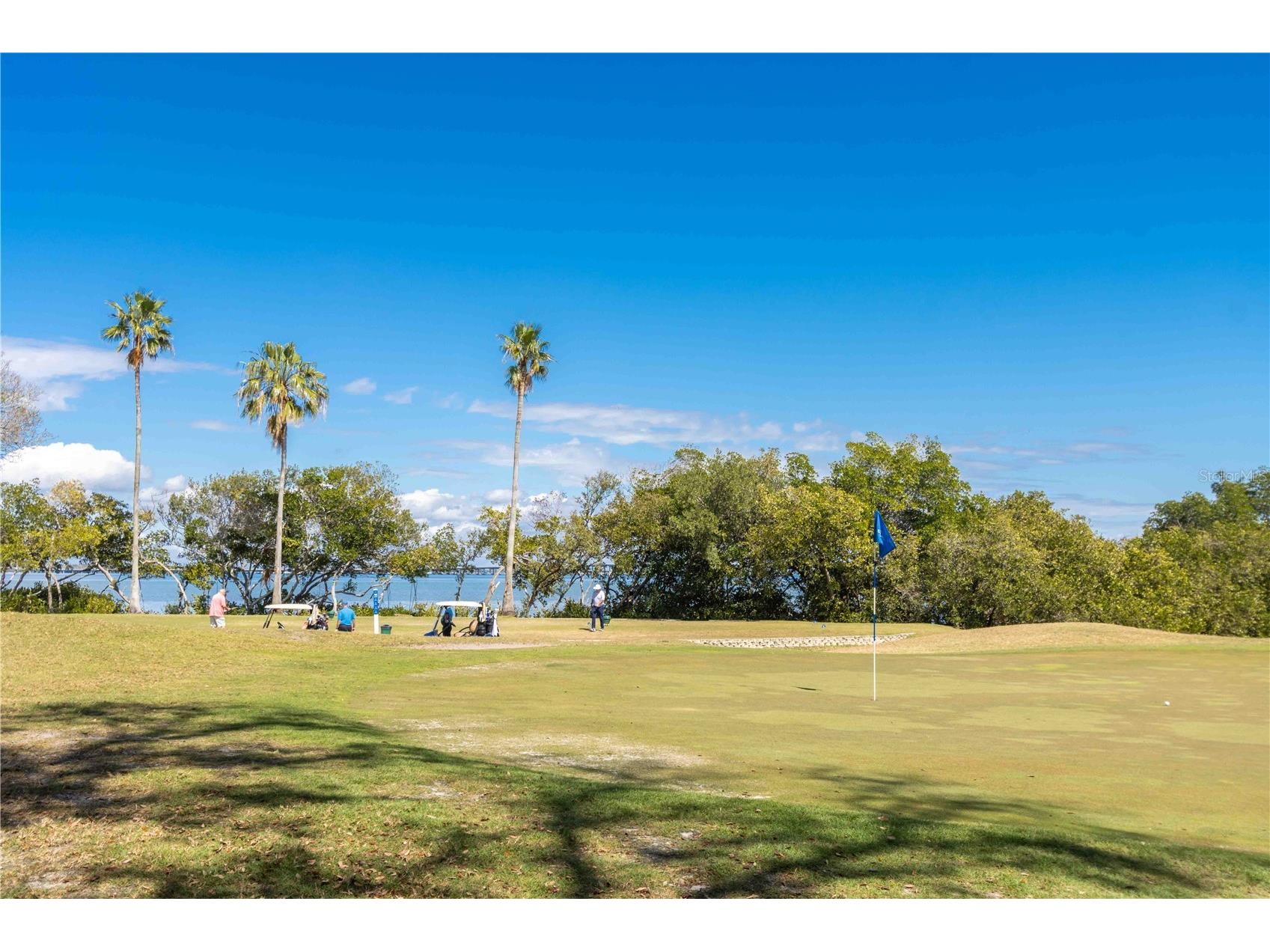 2621 Cove Cay Drive #1003 Clearwater FL 33760 TB8479849 image63