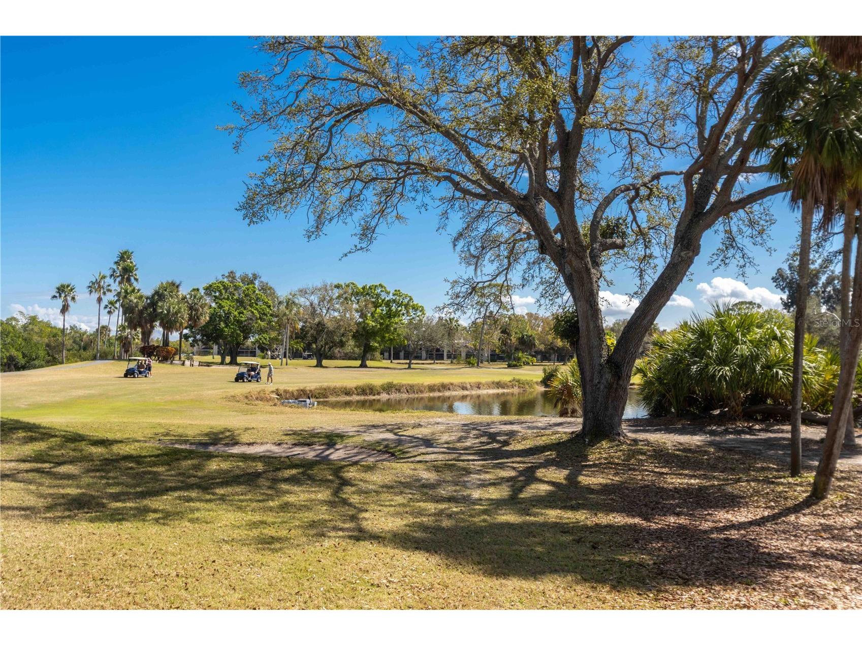 2621 Cove Cay Drive #1003 Clearwater FL 33760 TB8479849 image64