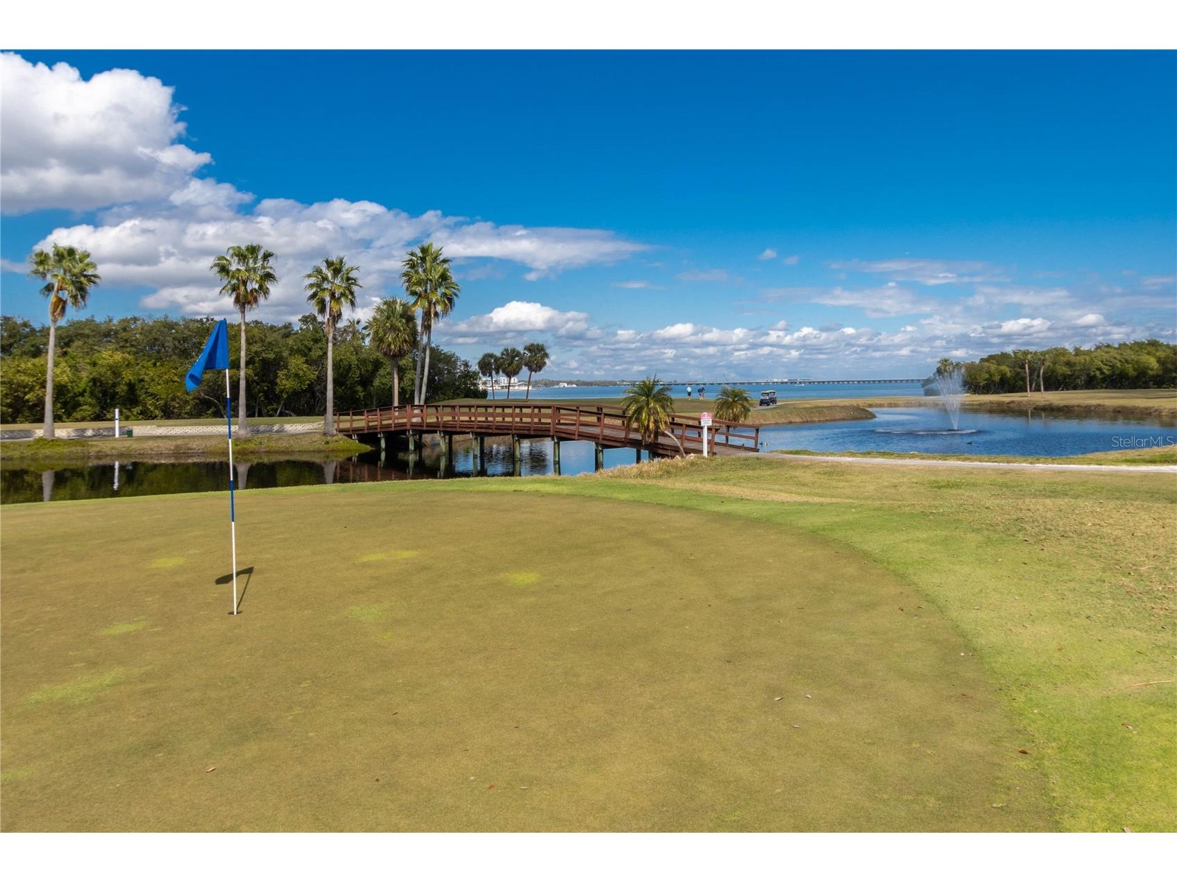 2621 Cove Cay Drive #1003 Clearwater FL 33760 TB8479849 image66