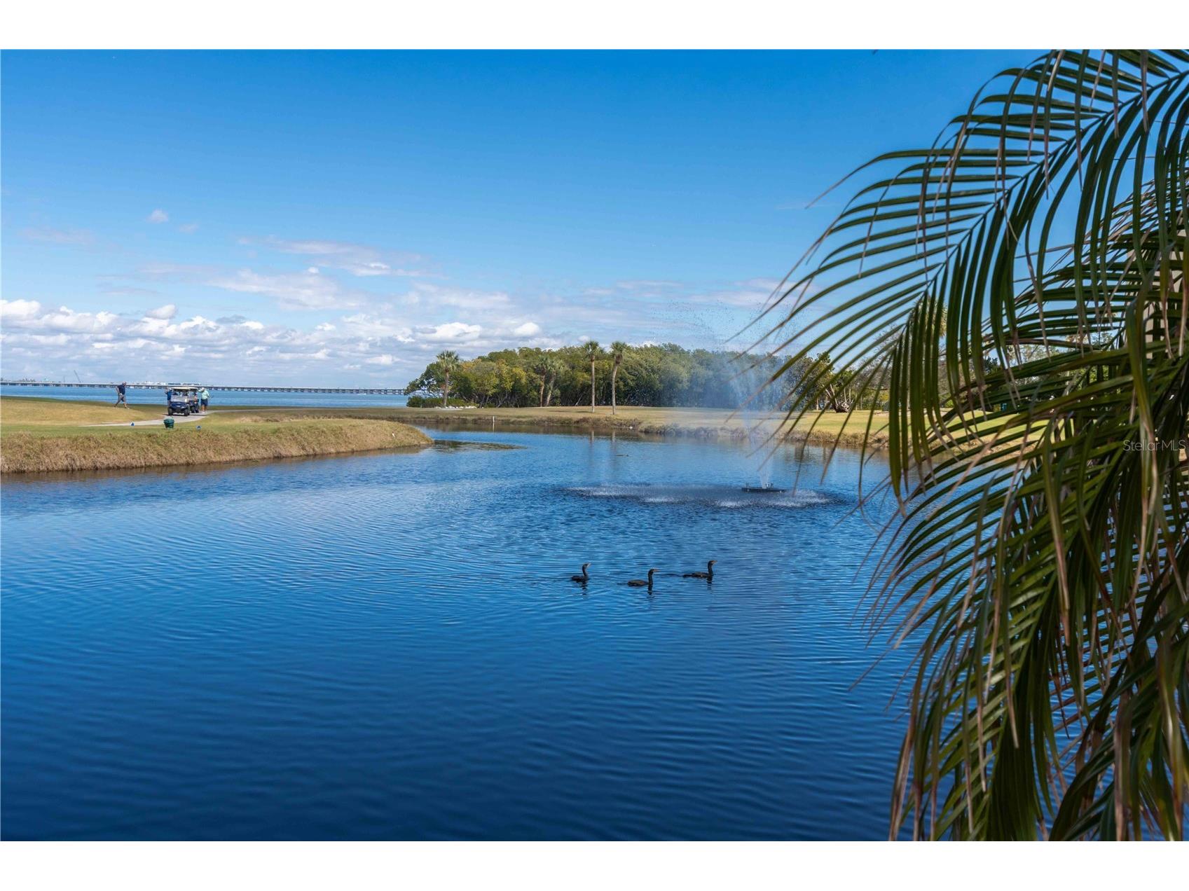 2621 Cove Cay Drive #1003 Clearwater FL 33760 TB8479849 image67