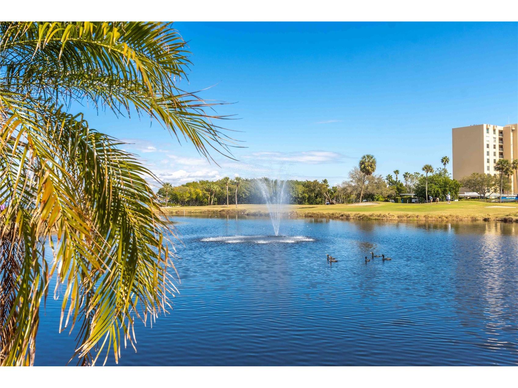 2621 Cove Cay Drive #1003 Clearwater FL 33760 TB8479849 image72