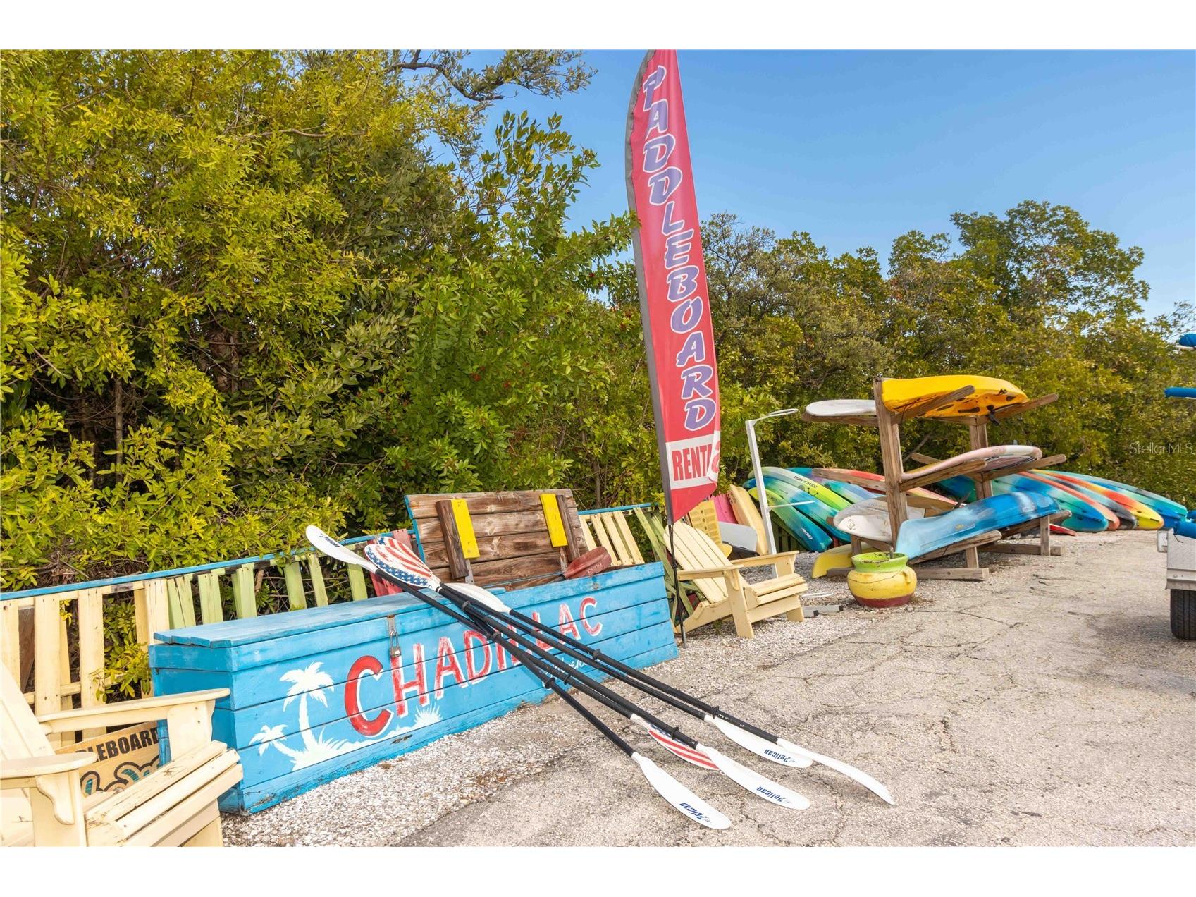 2621 Cove Cay Drive #1003 Clearwater FL 33760 TB8479849 image80