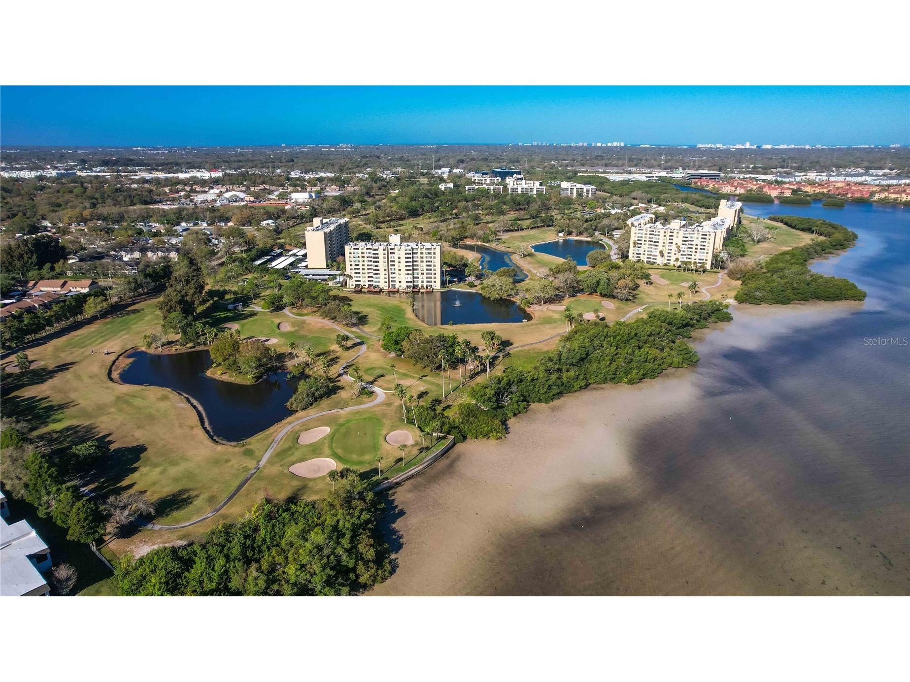 2621 Cove Cay Drive #1003 Clearwater FL 33760 TB8479849 image89