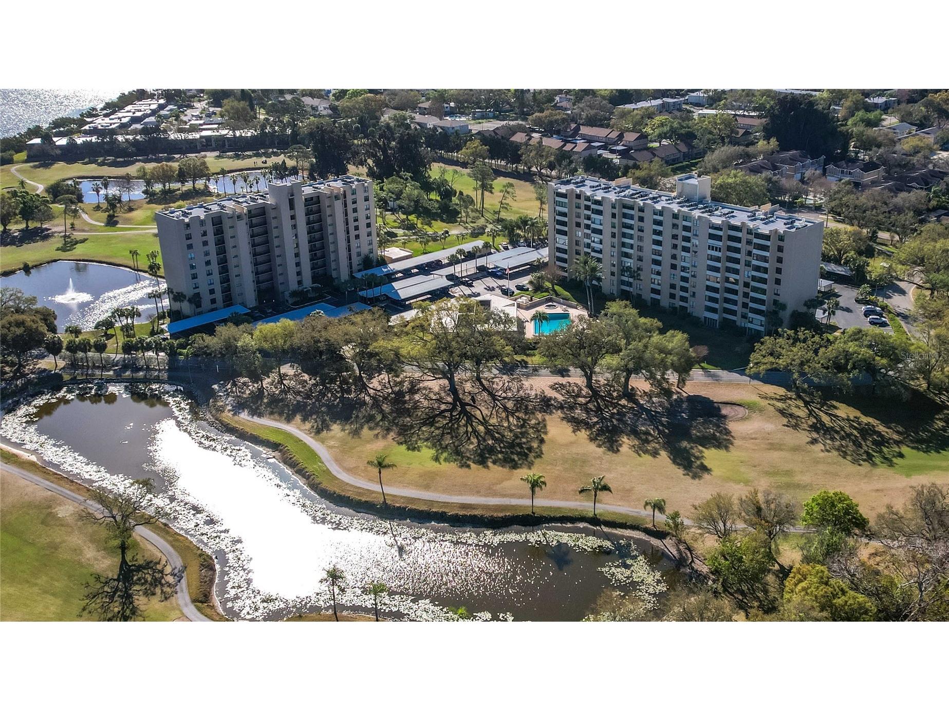 2621 Cove Cay Drive #1003 Clearwater FL 33760 TB8479849 image91