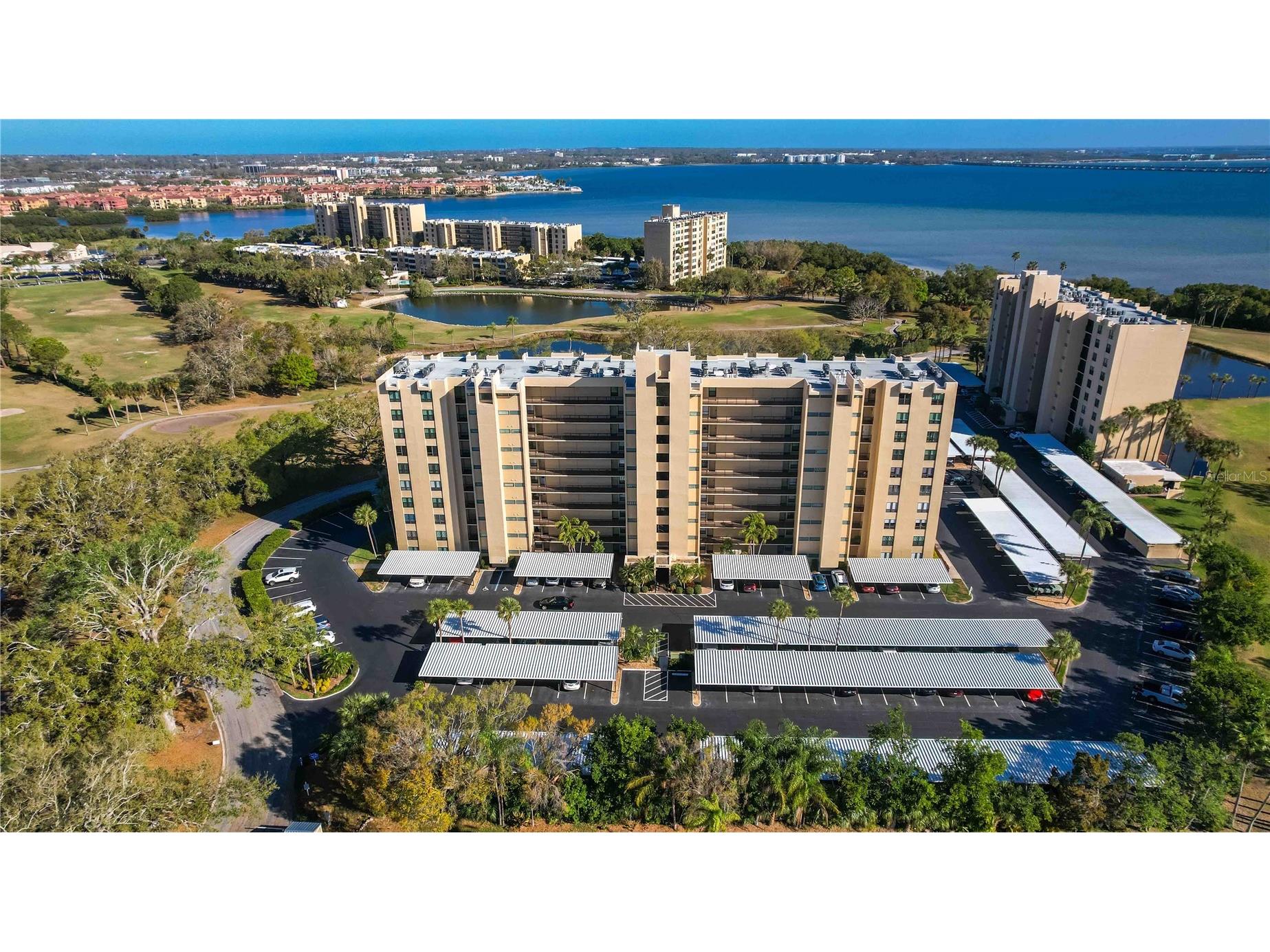 2621 Cove Cay Drive #1003 Clearwater FL 33760 TB8479849 image94