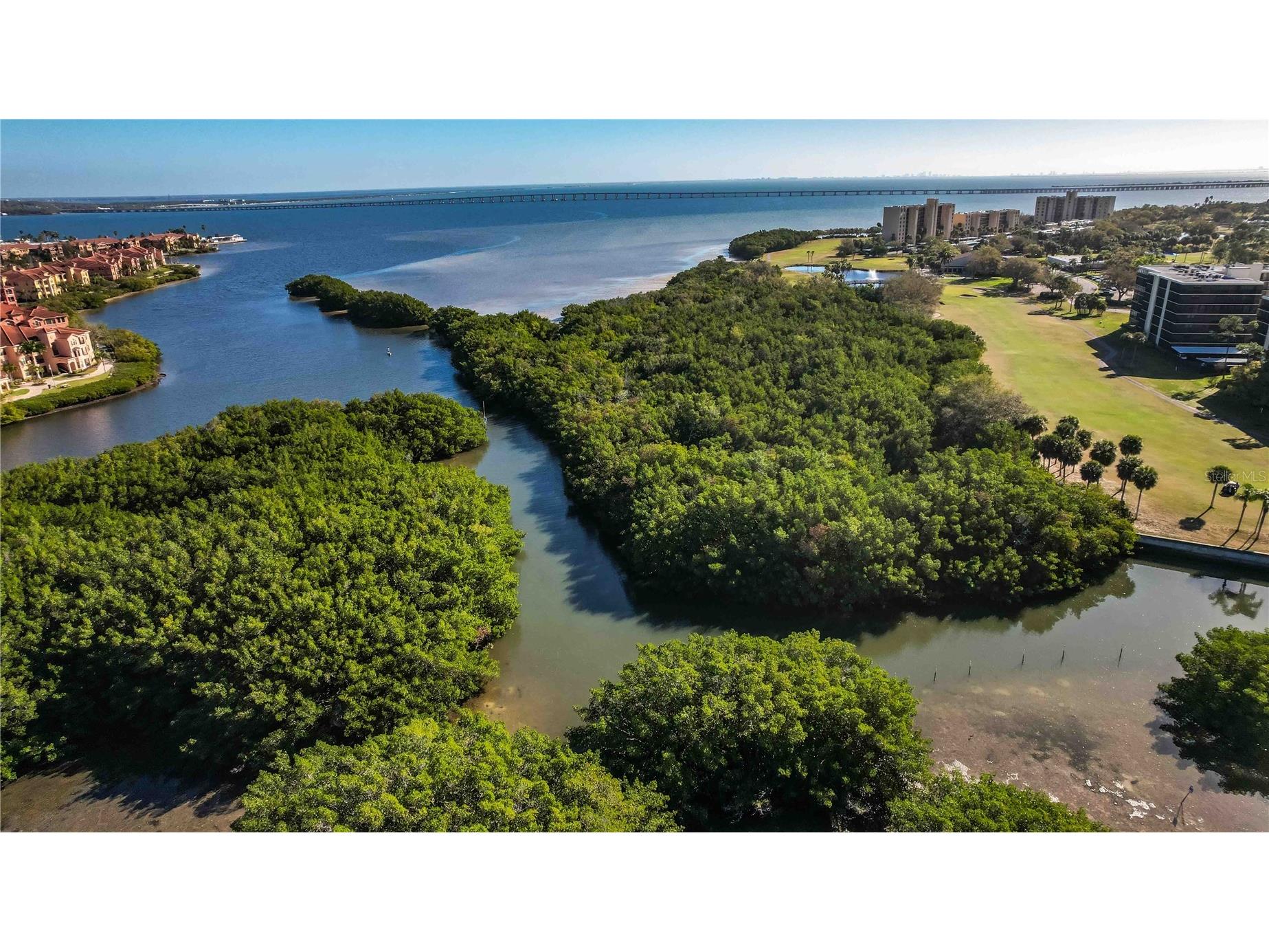 2621 Cove Cay Drive #1003 Clearwater FL 33760 TB8479849 image97