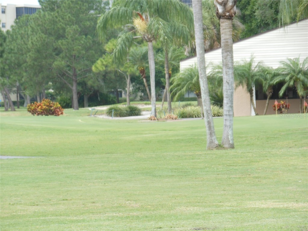 2621 Cove Cay Drive #302 Clearwater FL 33760 - TAMPA BAY TB8394854 image47