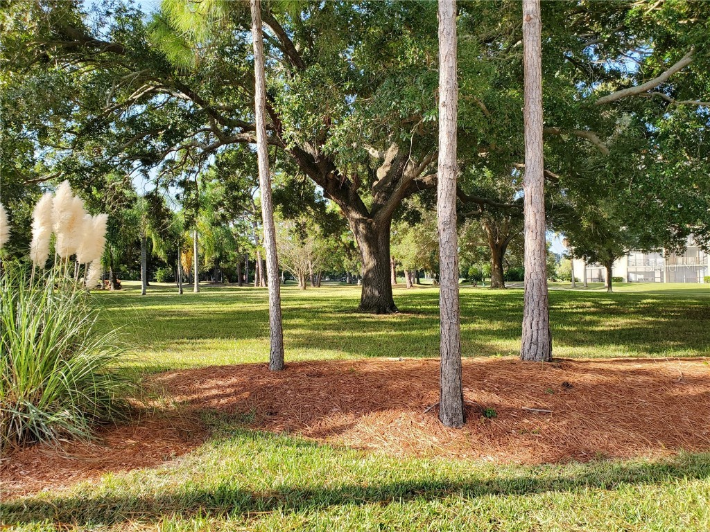 2621 Cove Cay Drive #302 Clearwater FL 33760 - TAMPA BAY TB8394854 image48