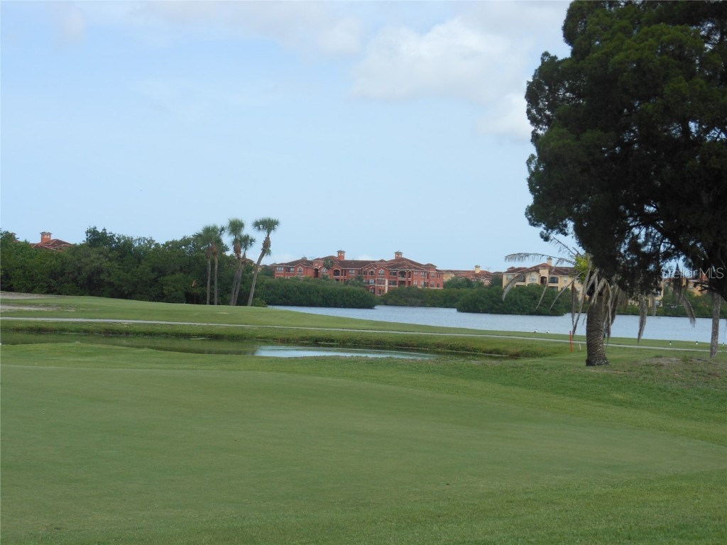 2621 Cove Cay Drive #302 Clearwater FL 33760 - TAMPA BAY TB8394854 image49