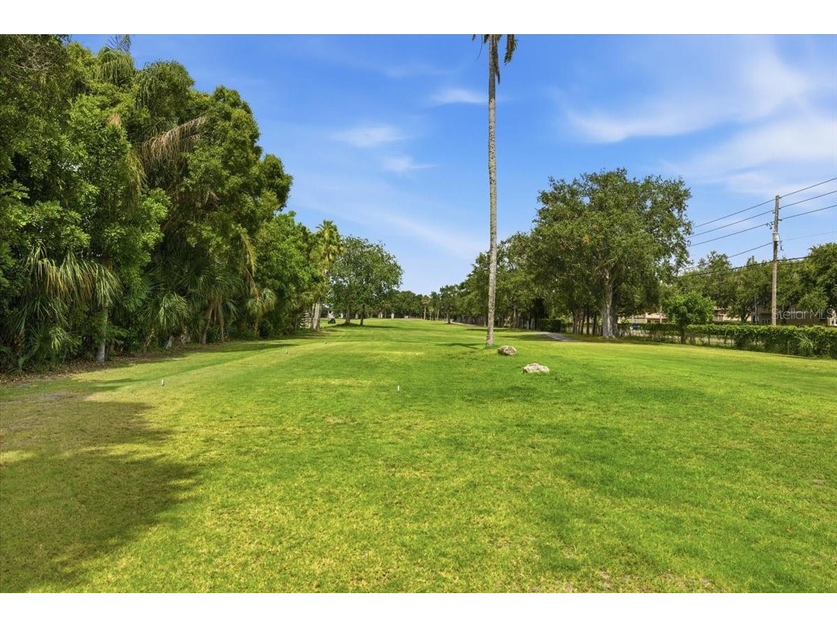 2621 Cove Cay Drive #302 Clearwater FL 33760 TB8508674 image29