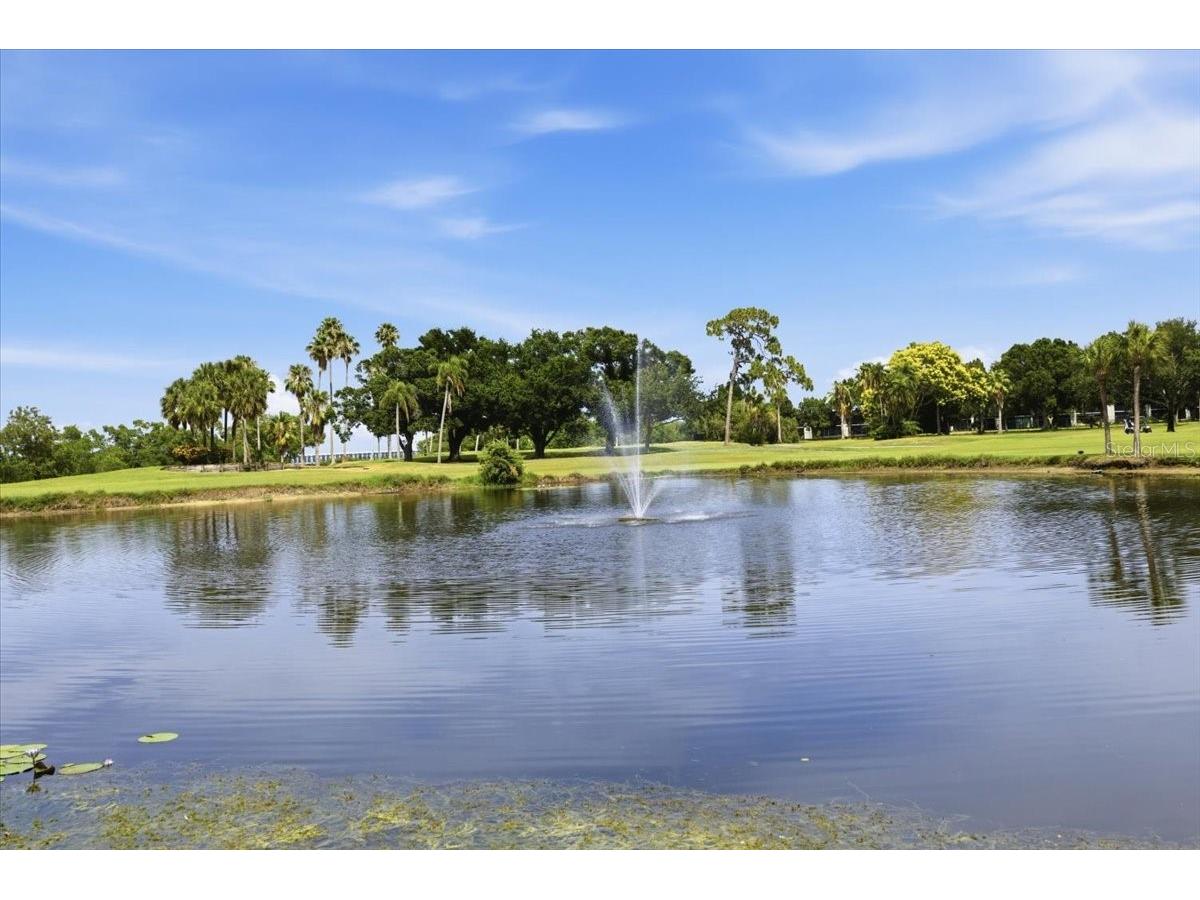 2621 Cove Cay Drive #302 Clearwater FL 33760 TB8508674 image30