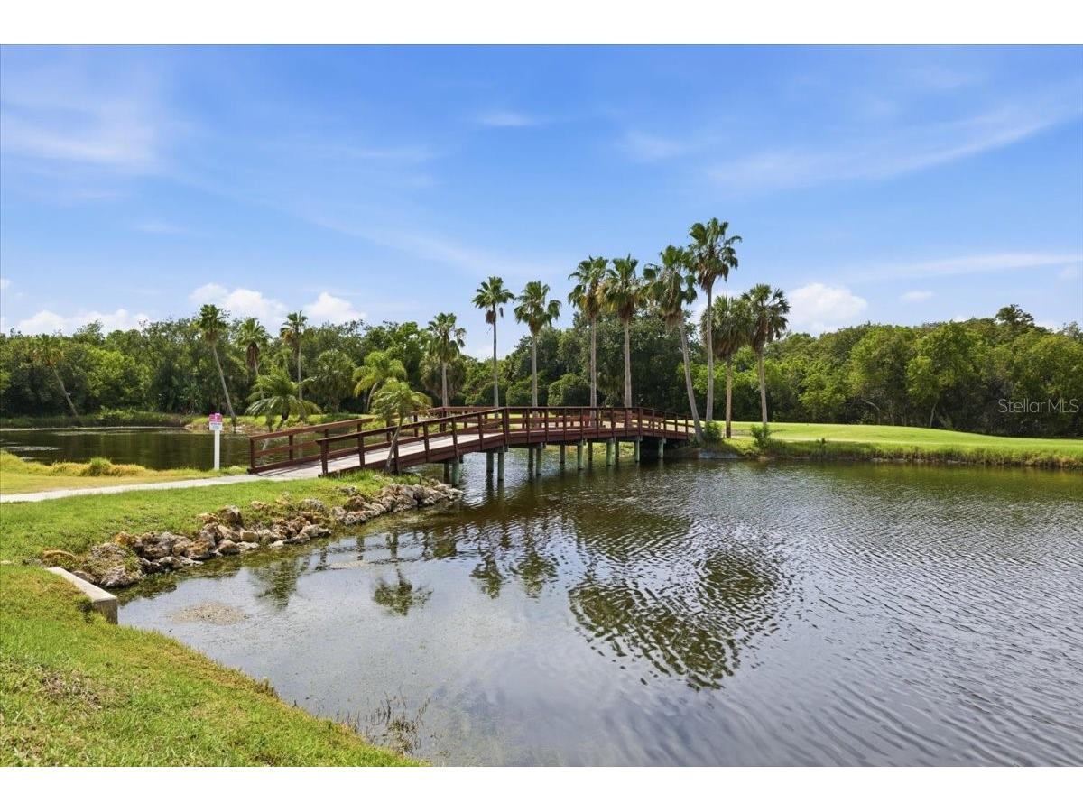 2621 Cove Cay Drive #302 Clearwater FL 33760 TB8508674 image32