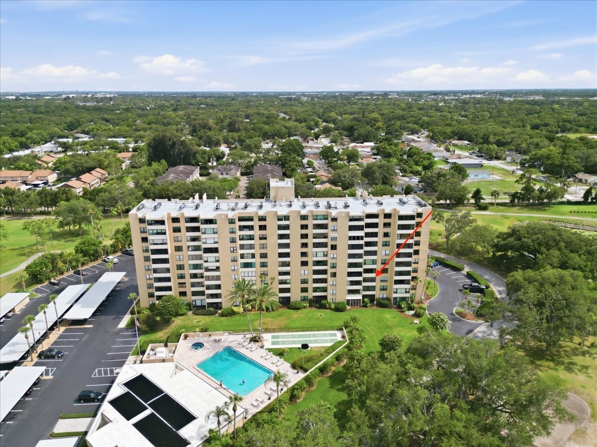 2621 Cove Cay Drive #302 Clearwater FL 33760 TB8508674 image36