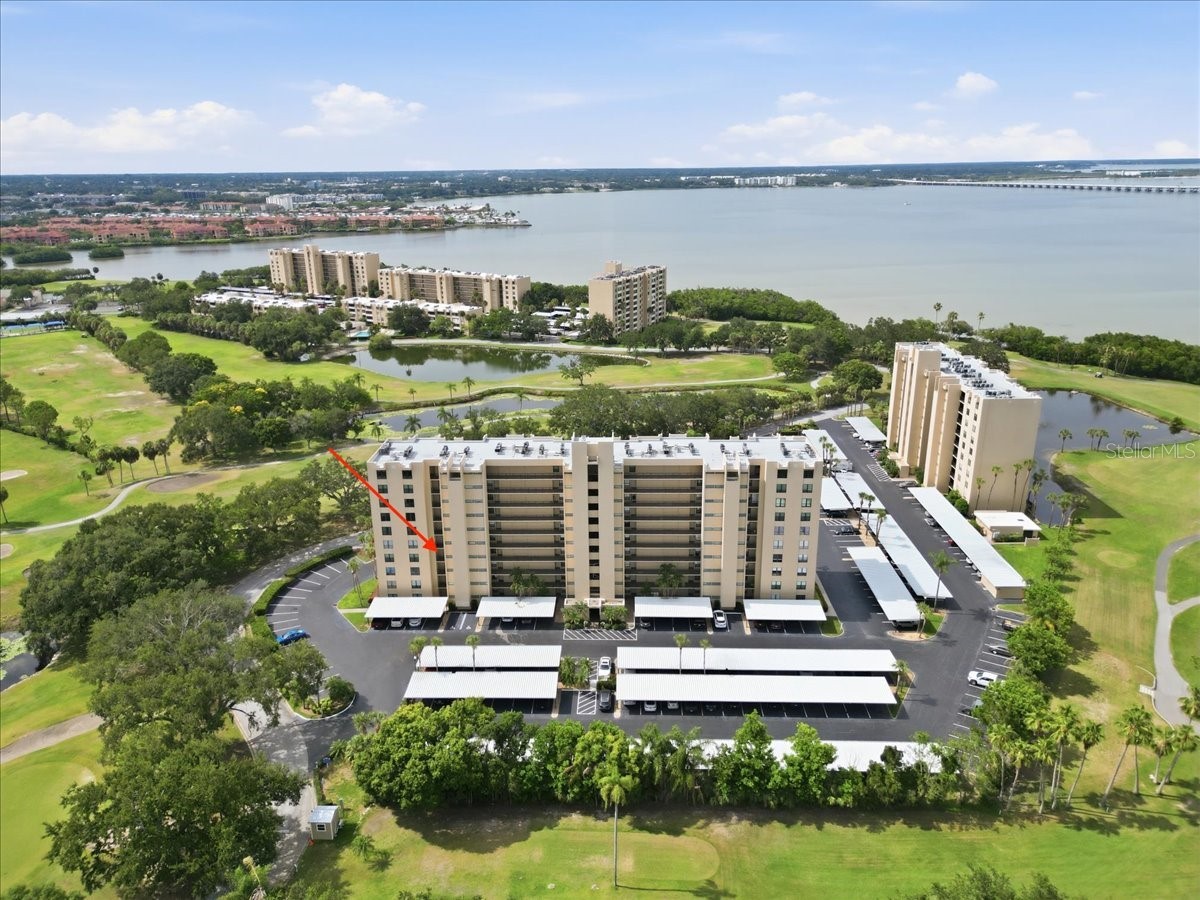 2621 Cove Cay Drive #302 Clearwater FL 33760 TB8508674 image37