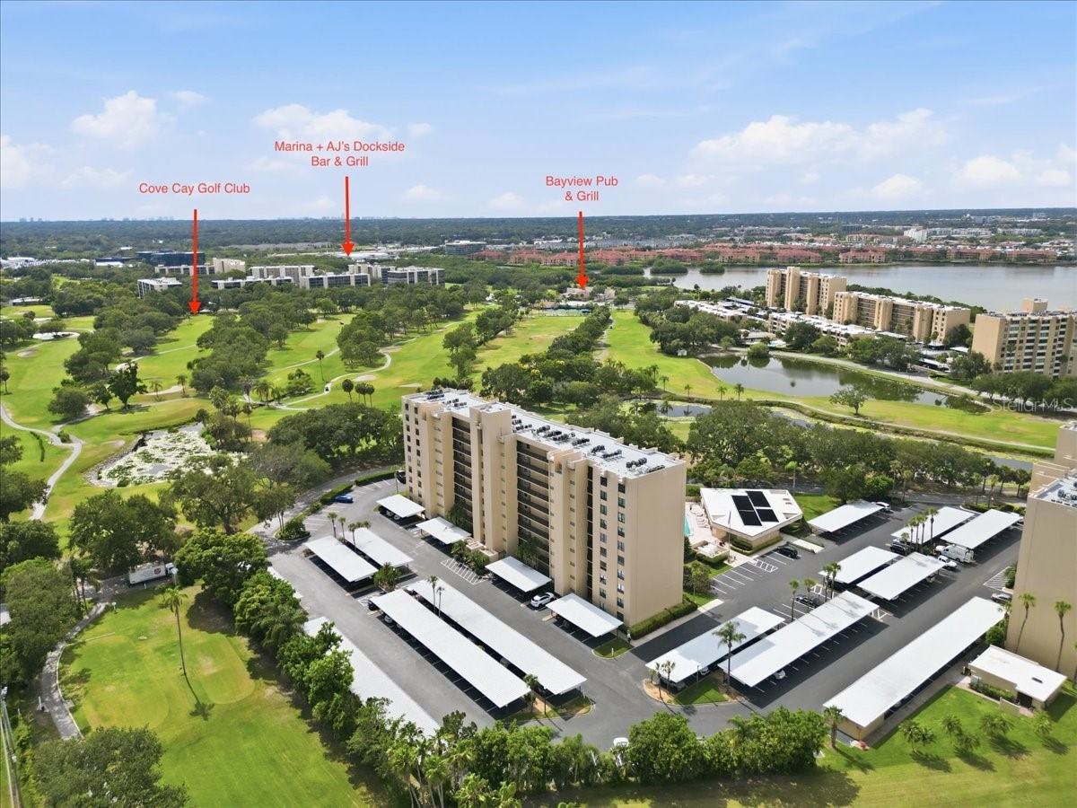 2621 Cove Cay Drive #302 Clearwater FL 33760 TB8508674 image40