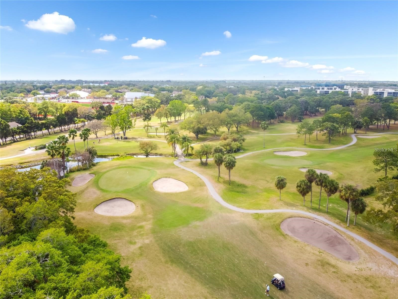 2621 Cove Cay Drive #703 Clearwater FL 33760 TB8464317 image35