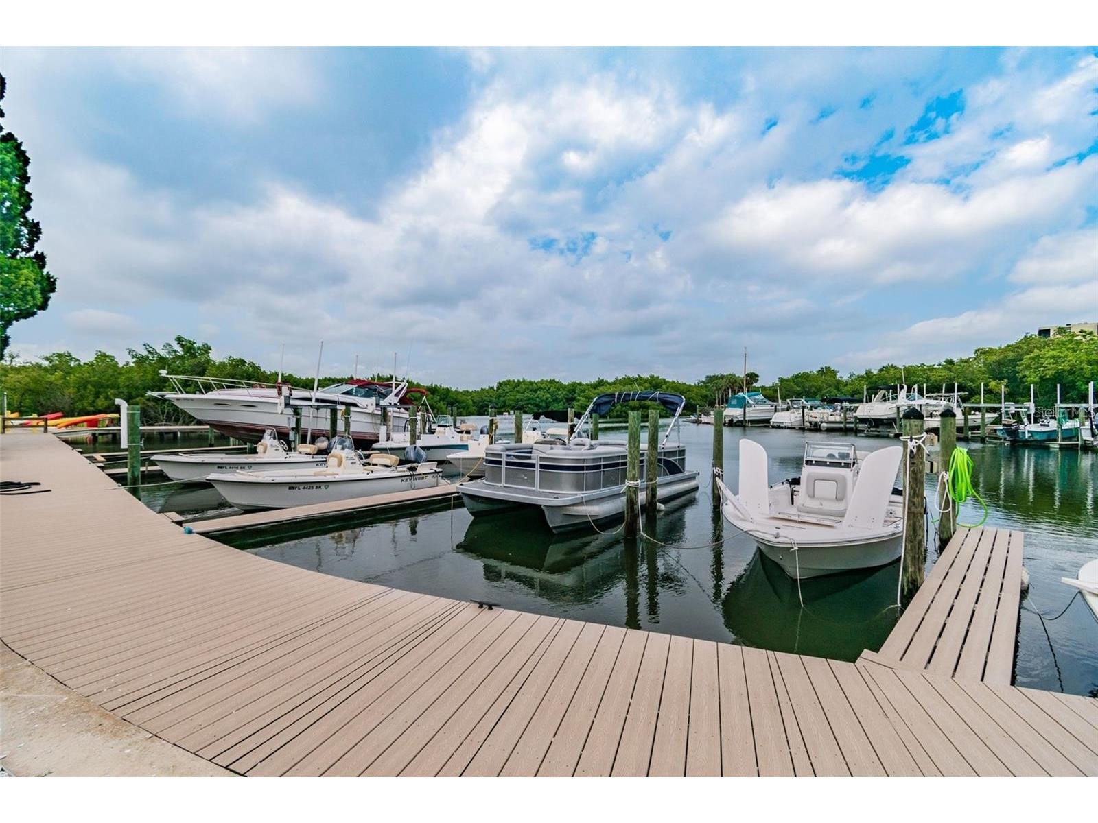 2621 Cove Cay Drive #703 Clearwater FL 33760 TB8464317 image38