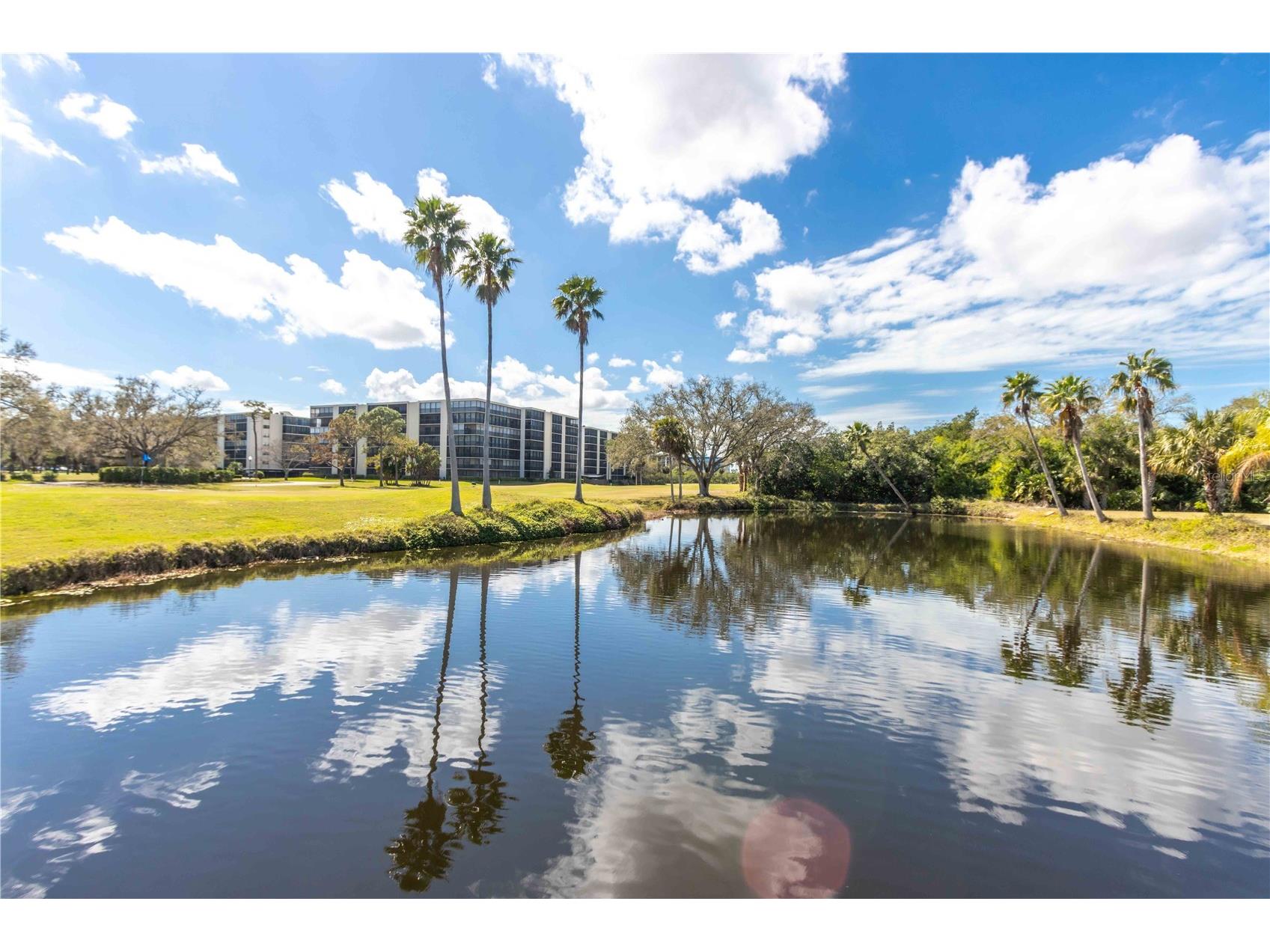 2621 Cove Cay Drive #805 Clearwater FL 33760 TB8484981 image49