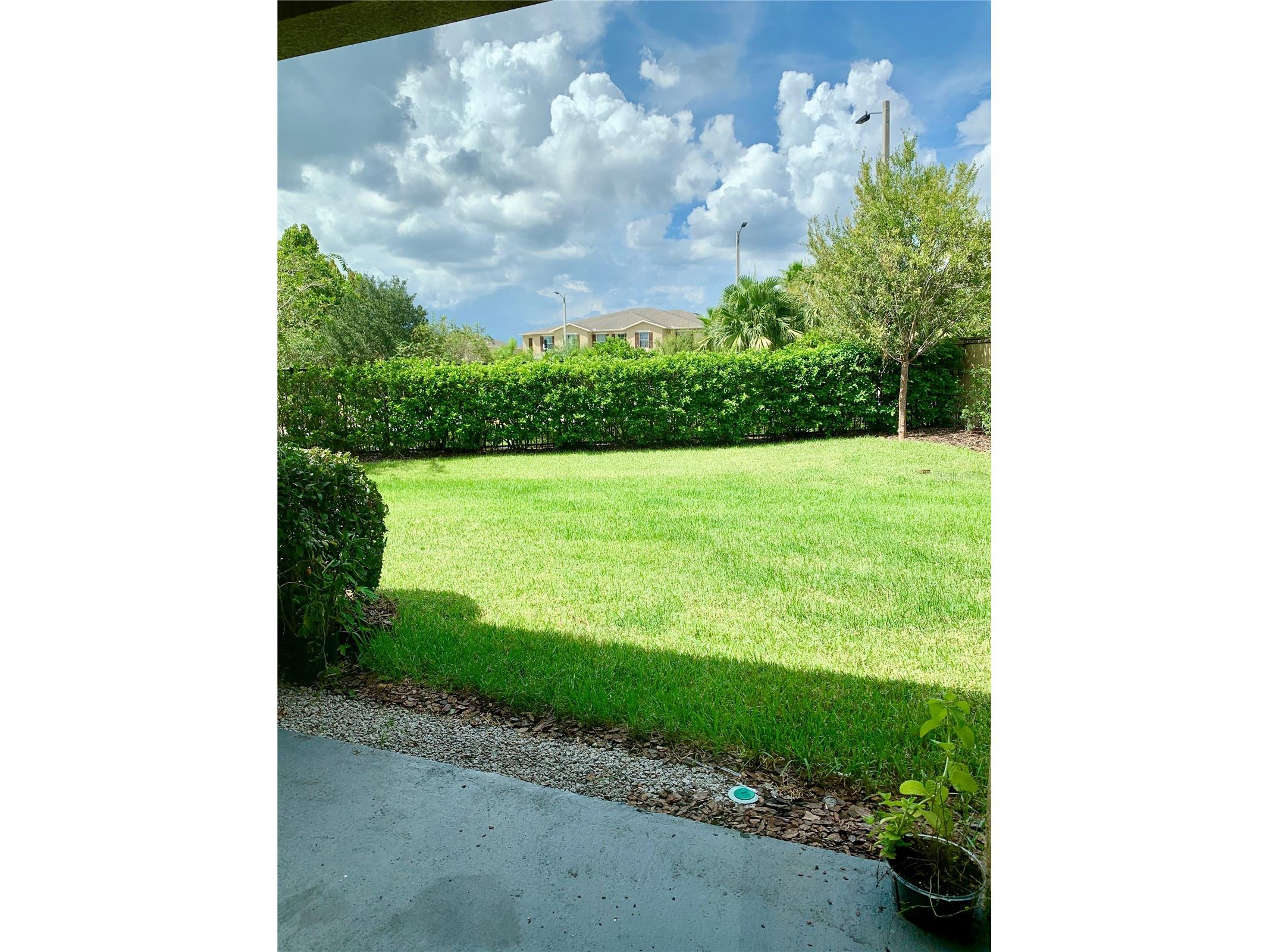 2621 Lantern Hill Ave #2621 Brandon FL 33511 TB8479536 image15