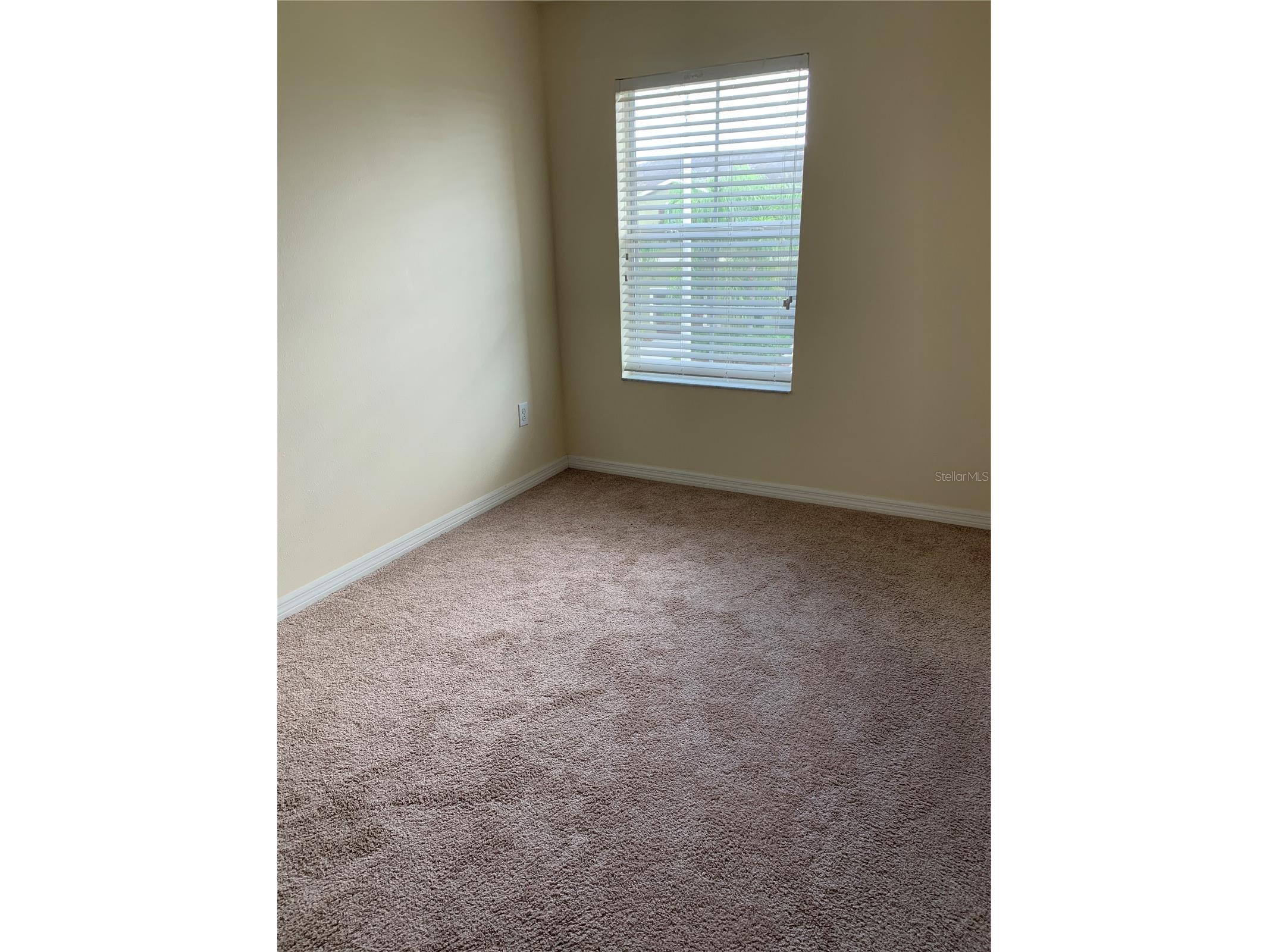 2621 Lantern Hill Ave #2621 Brandon FL 33511 TB8479536 image8