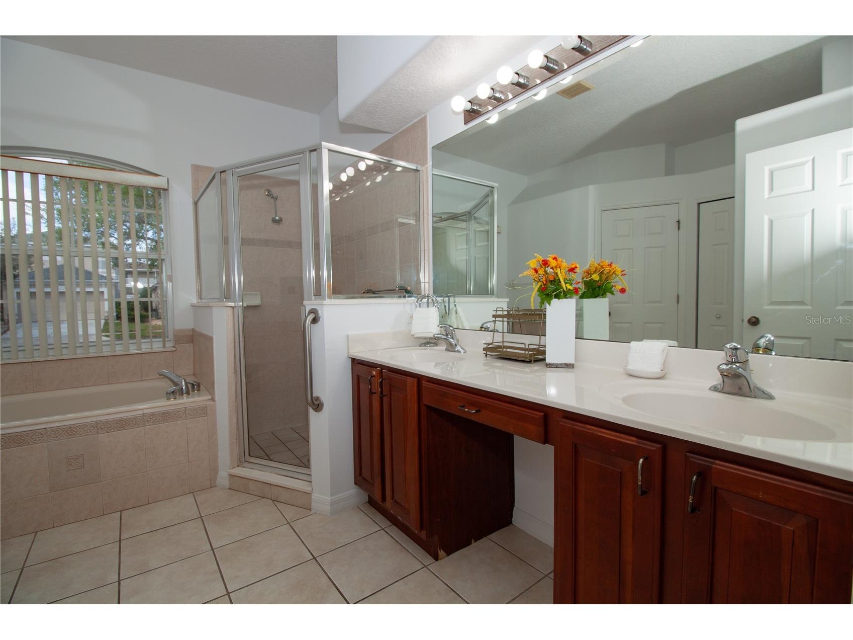 2621 Shirehall Lane Winter Garden FL 34787 O6386585 image13