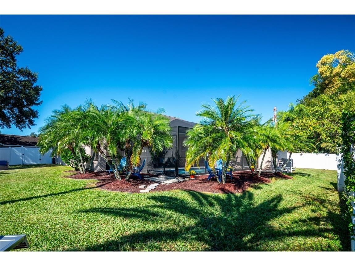 26210 Corkwood Court Land O Lakes FL 34639 TB8445354 image37