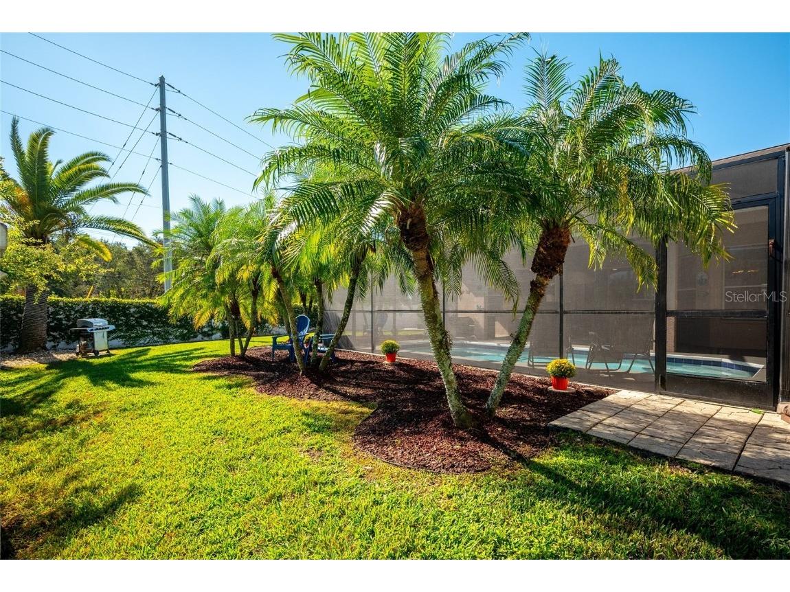 26210 Corkwood Court Land O Lakes FL 34639 TB8445354 image39