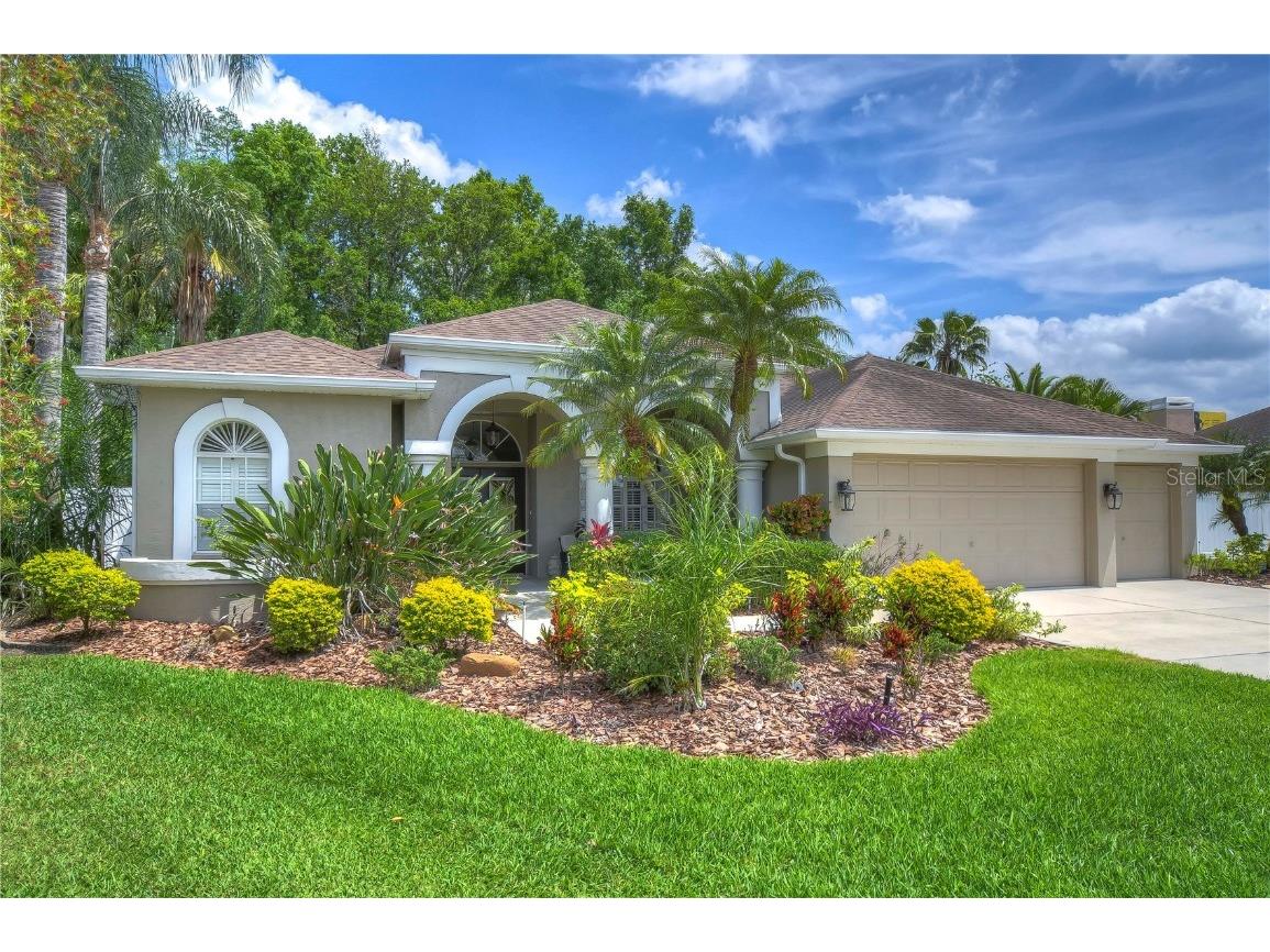 26216 Corkwood Court Land O Lakes FL 34639 T3529510 image1