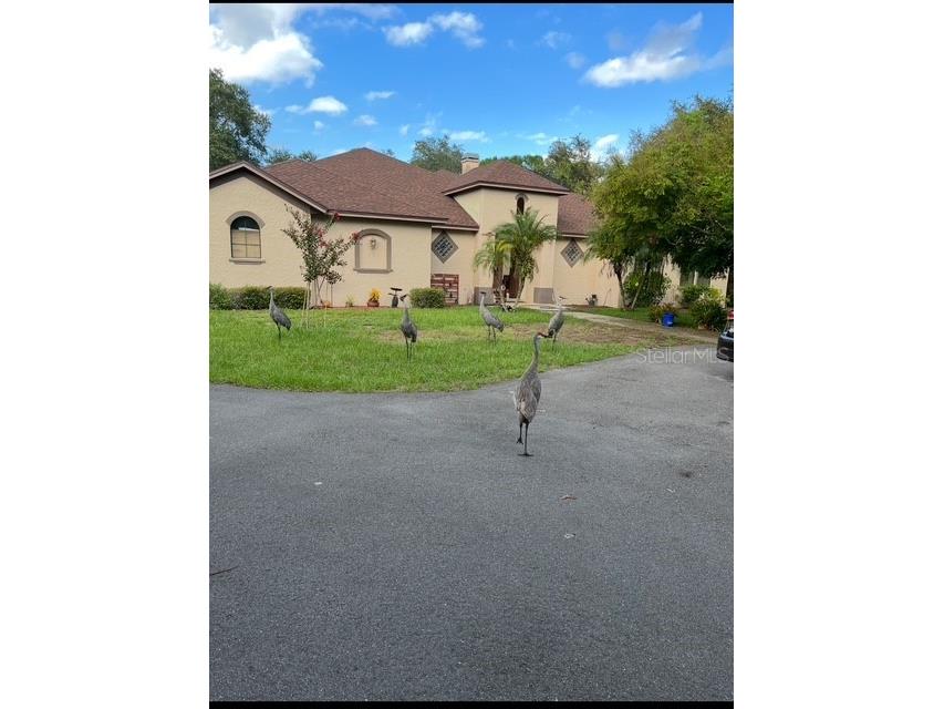 2622 Carolyn Street Deltona FL 32738 - LAKE BUTLER V4944180 image40