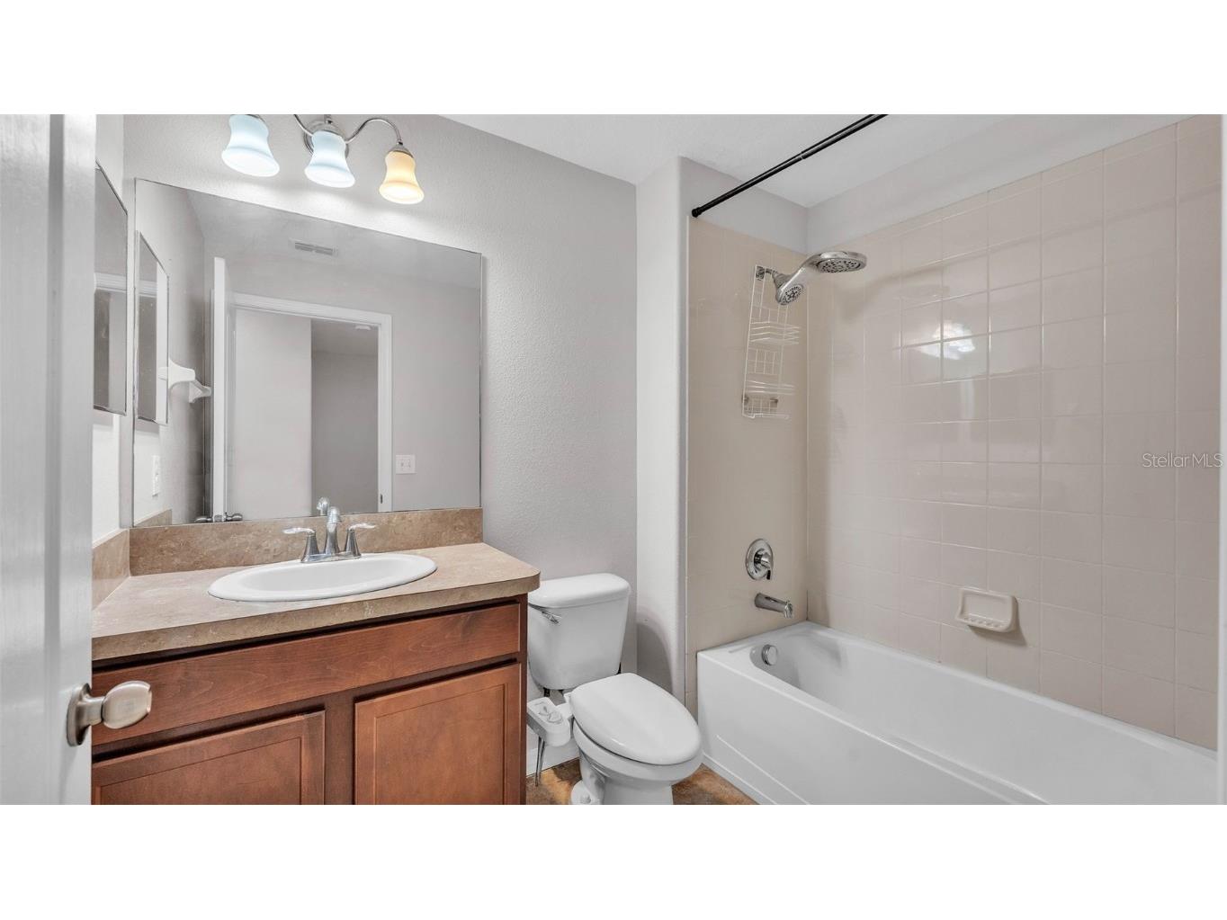 2622 Lantern Hill Avenue Brandon FL 33511 L4953328 image25