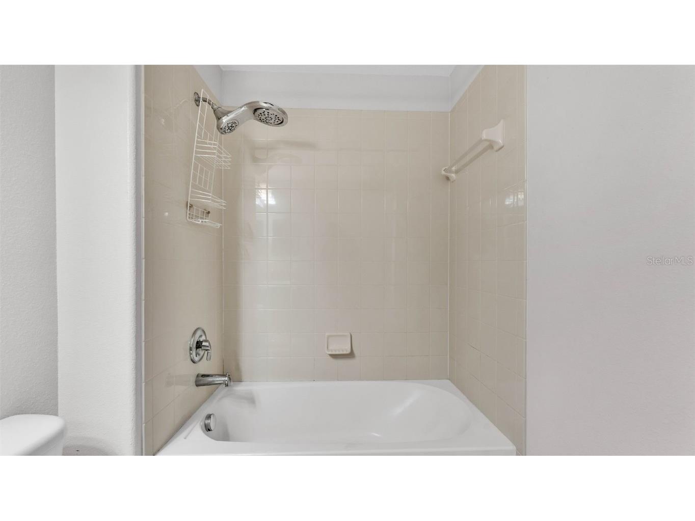 2622 Lantern Hill Avenue Brandon FL 33511 L4953328 image27