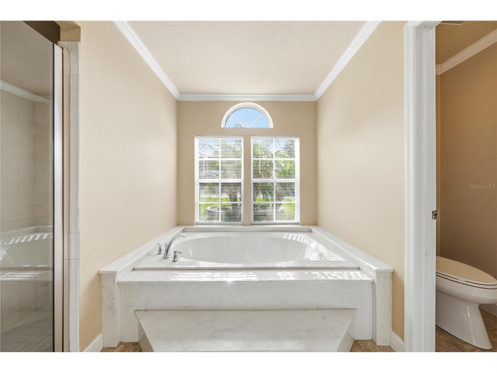 2622 Maywood Street Eustis FL 32726 G5112811 image34
