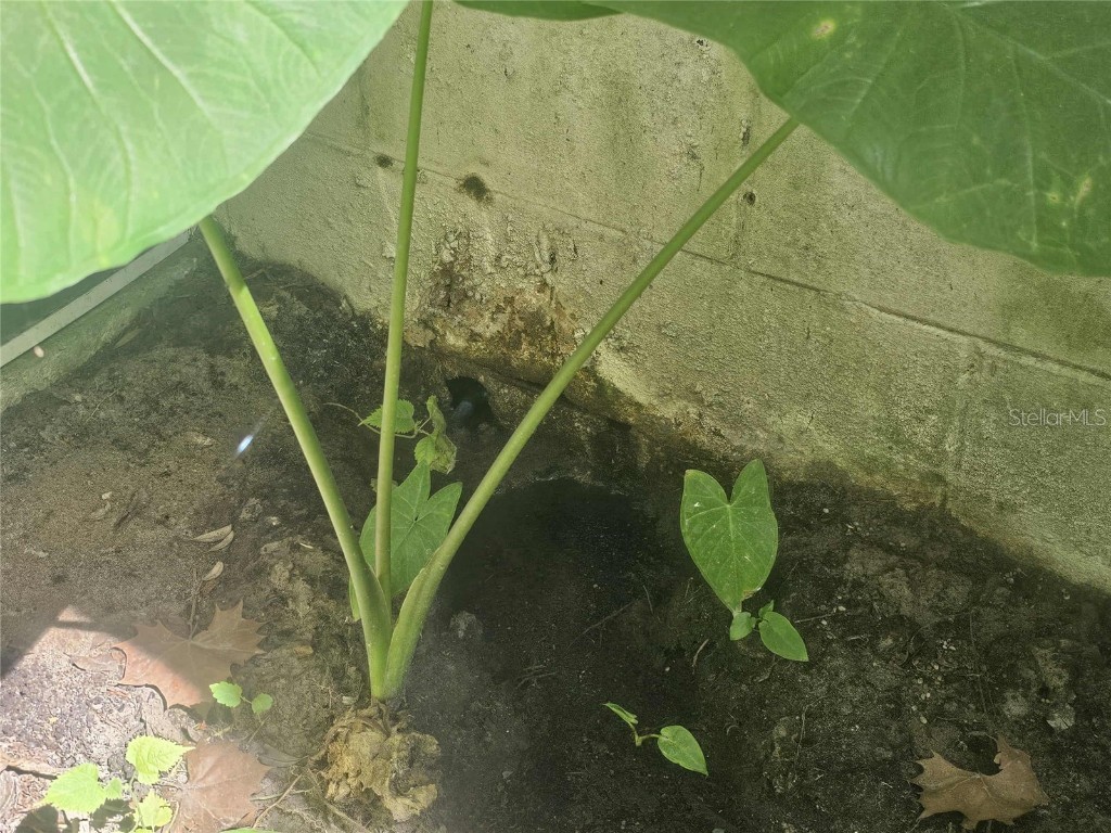 2622 NE 1st Avenue Ocala FL 34470 OM712068 image29