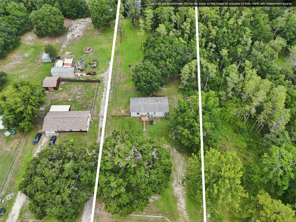 26223 Chianina Drive Wesley Chapel FL 33544 TB8401789 image37