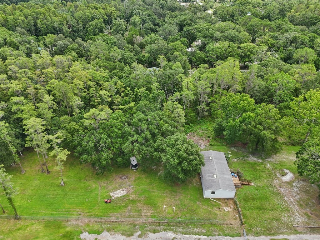 26223 Chianina Drive Wesley Chapel FL 33544 TB8401789 image40