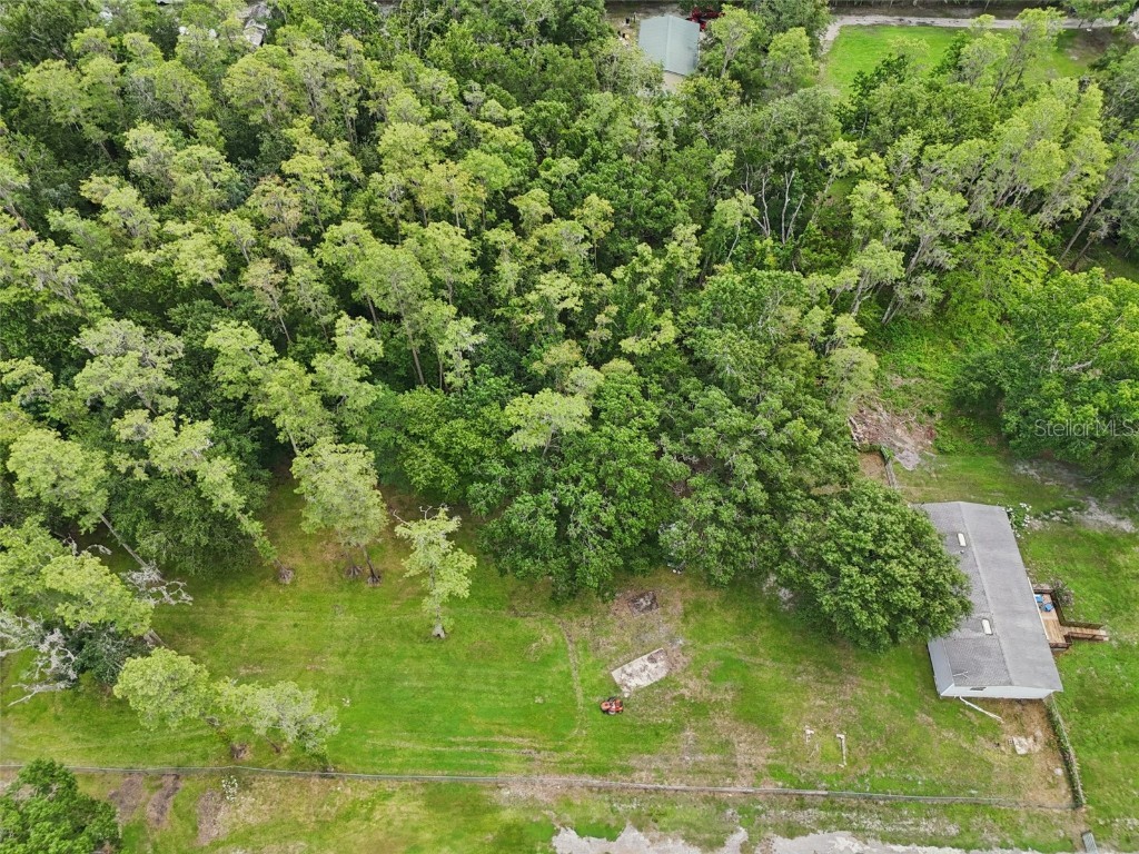 26223 Chianina Drive Wesley Chapel FL 33544 TB8401789 image42