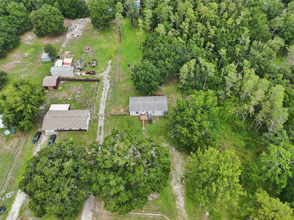 26223 Chianina Drive Wesley Chapel FL 33544 TB8401789 image45