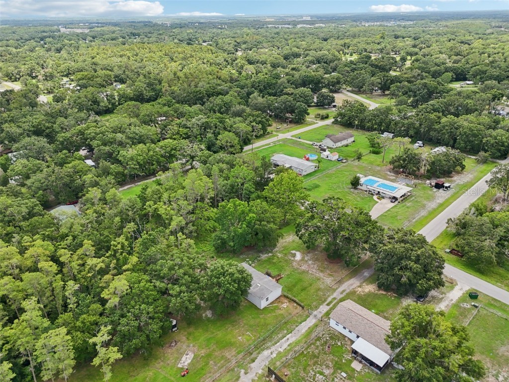 26223 Chianina Drive Wesley Chapel FL 33544 TB8401789 image49