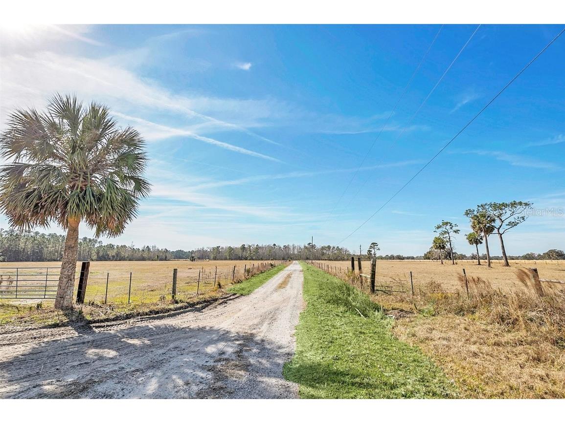 26225 Pitts Road Eustis FL 32736 O6277316 image5