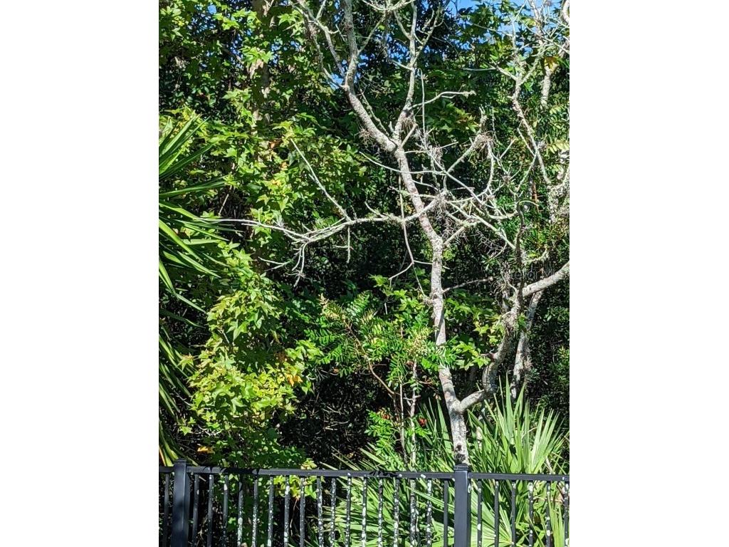 2623 Redford Way Wesley Chapel FL 33544 TB8427406 image21