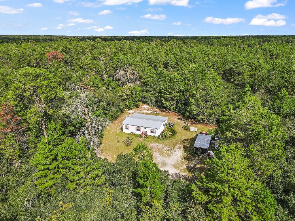 26230 Morning View Drive Paisley FL 32767 O5979209 image1