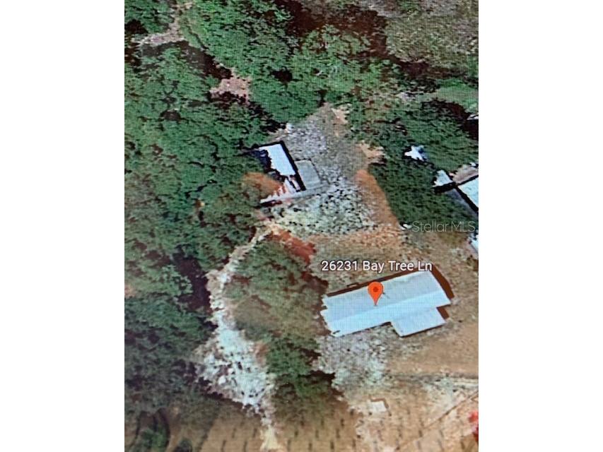 26231 Bay Tree Lane Paisley FL 32767 S5057118 image1