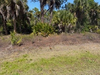 26232 Deer Road Punta Gorda FL 33955 C7523159 image1