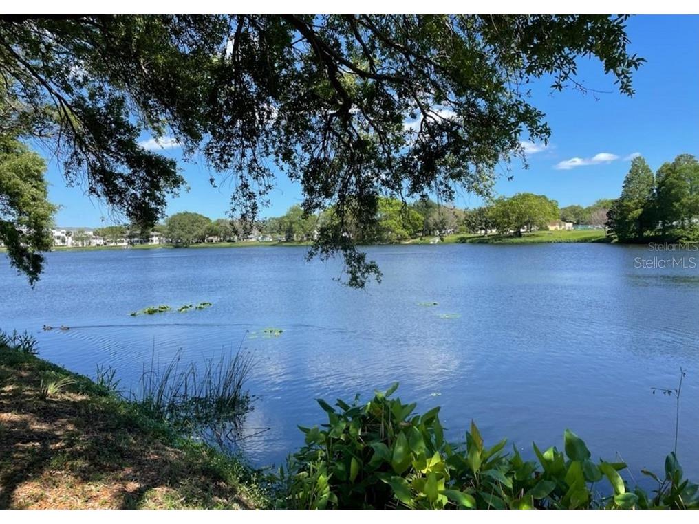 2624 12th Street N #3 Saint Petersburg FL 33704 TB8493984 image41