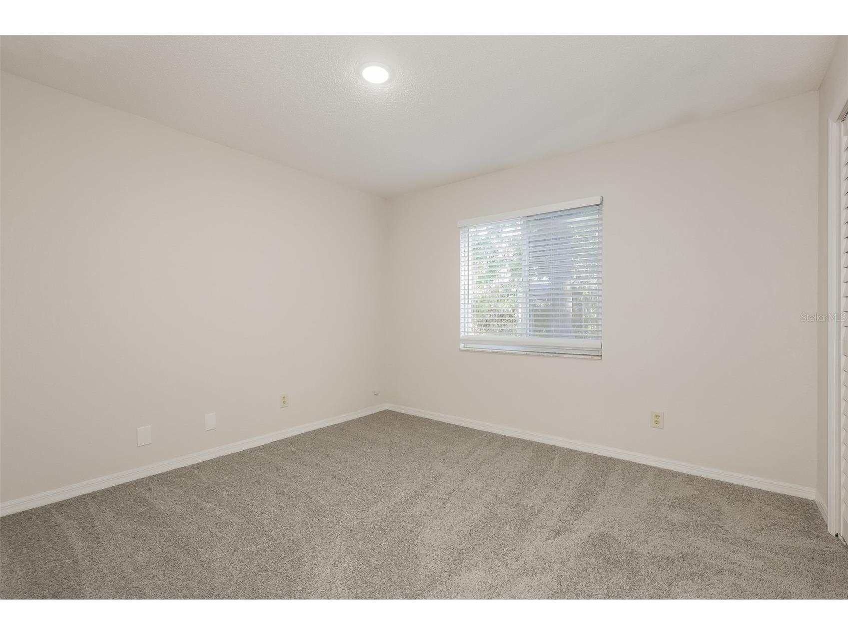 2624 Bridle Drive Plant City FL 33566 TB8504161 image13