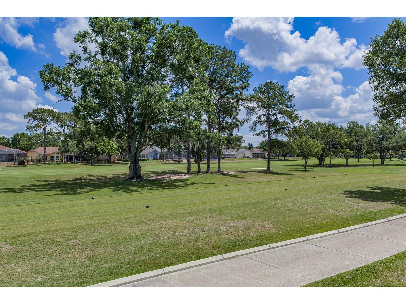 2624 Crestfield Drive Valrico FL 33596 TB8504323 image47