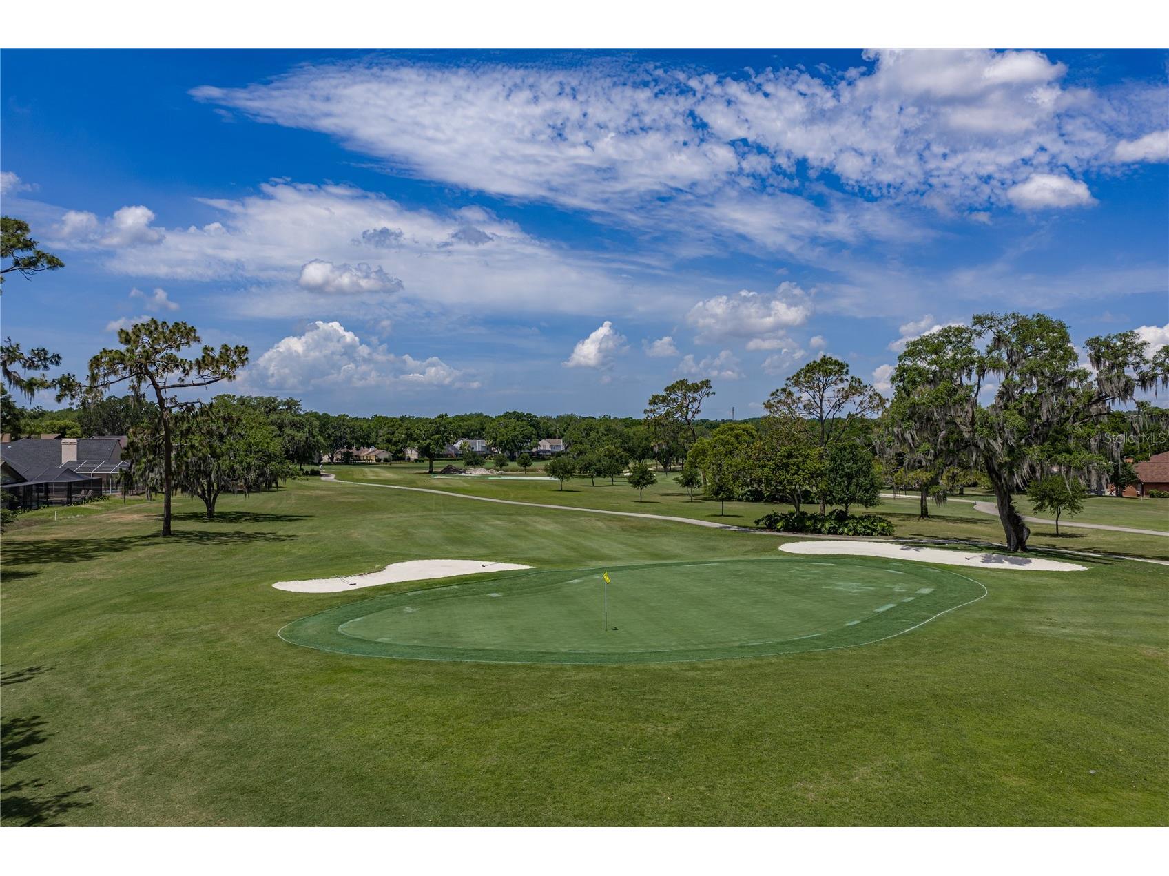 2624 Crestfield Drive Valrico FL 33596 TB8504323 image52