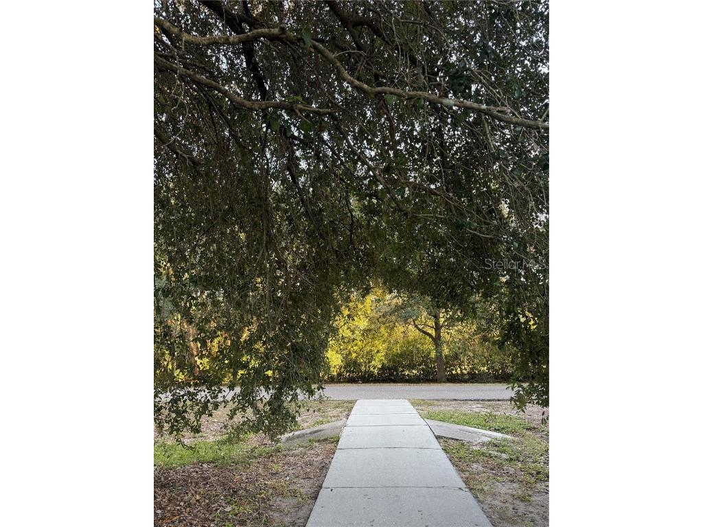 2624 Sweet Magnolia Place Oviedo FL 32765 O6362931 image23