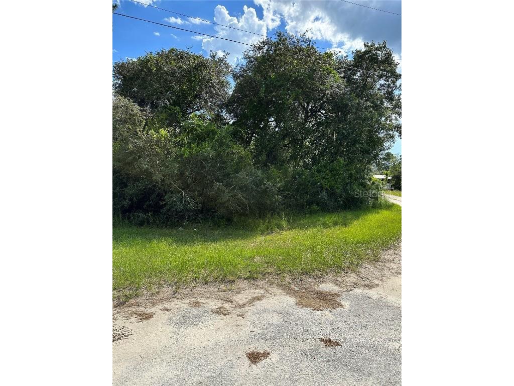 26240 Bay Tree Lane Paisley FL 32767 O6133694 image1