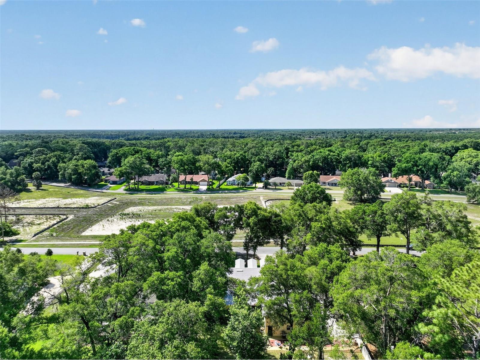 26243 Troon Avenue Mount Plymouth FL 32776 G5112791 image33